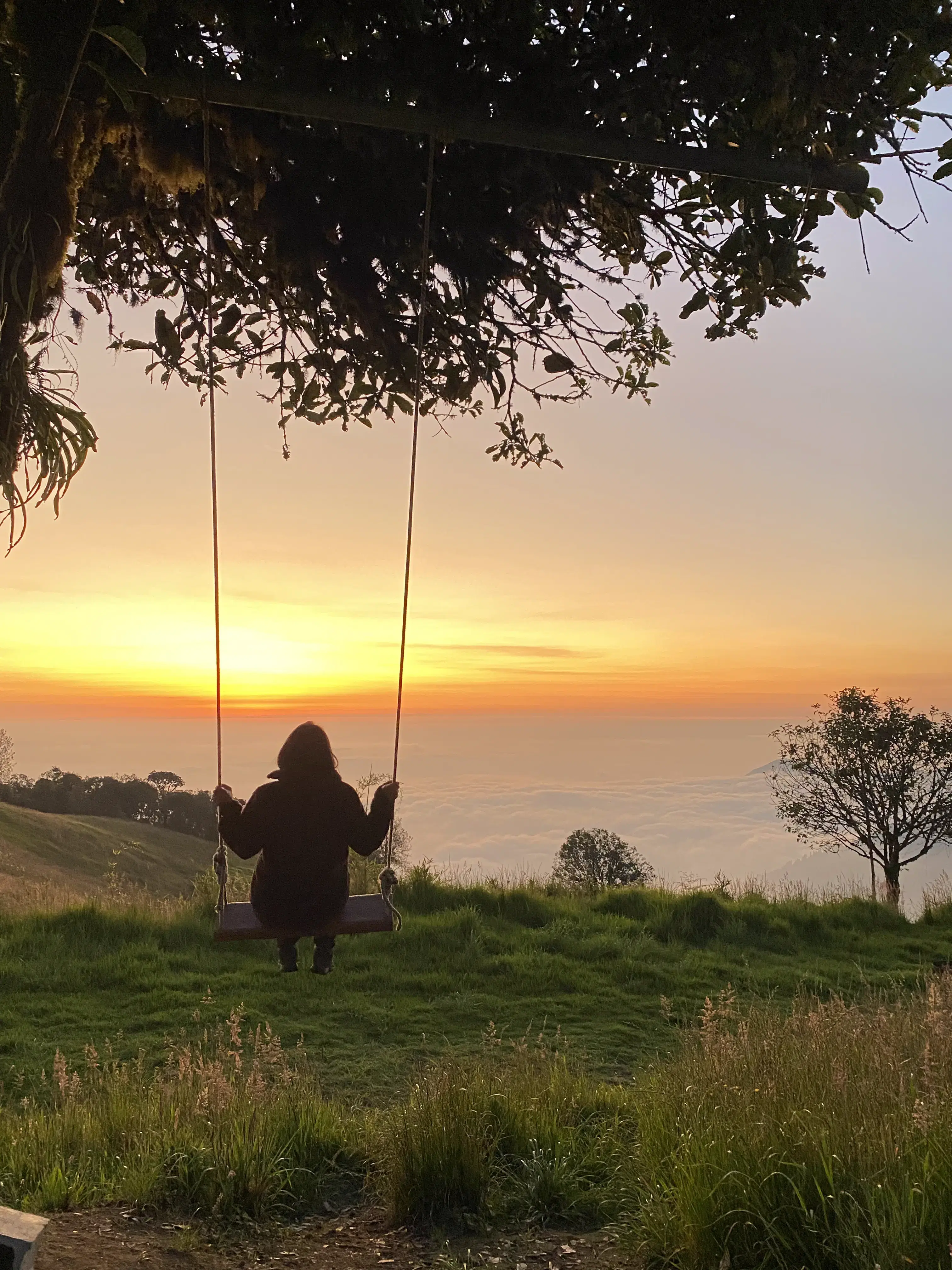 Columpios del Fin del Mundo